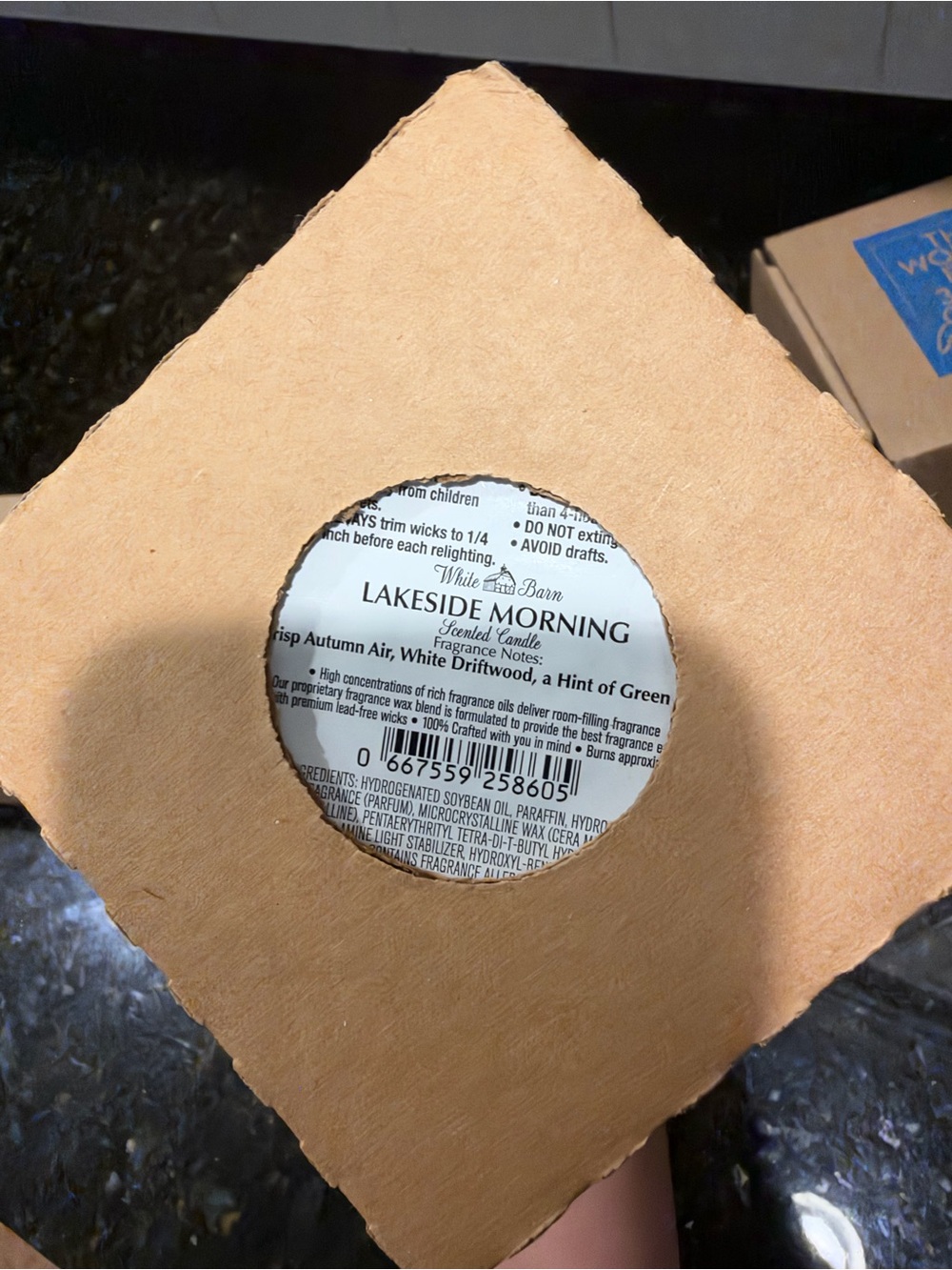 Bath & Body Works Lakeside Morning Candle - Tan
